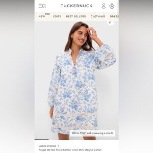 Tuckernuck Blue and White Long Sleeve Dress